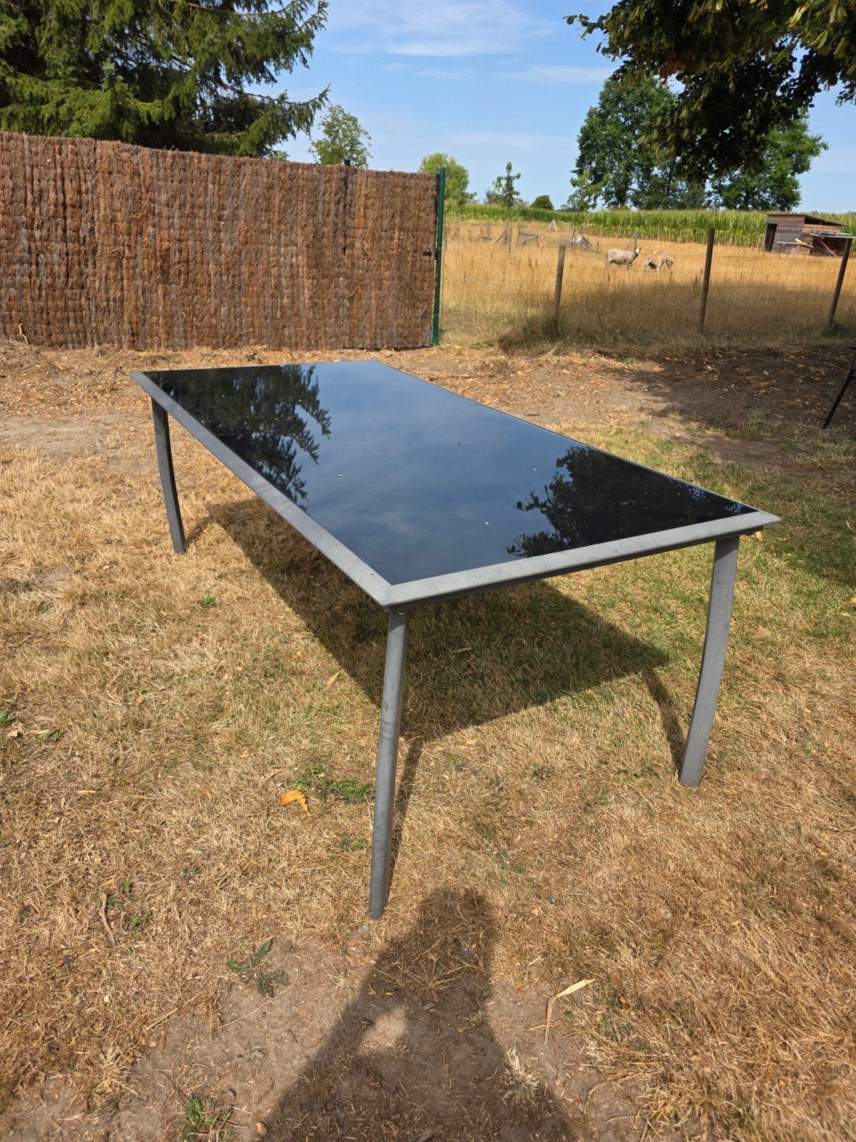 Tuintafel met glazen blad 200x100x75cm, Ophalen, Gebruikt, Rechthoekig, Overige materialen