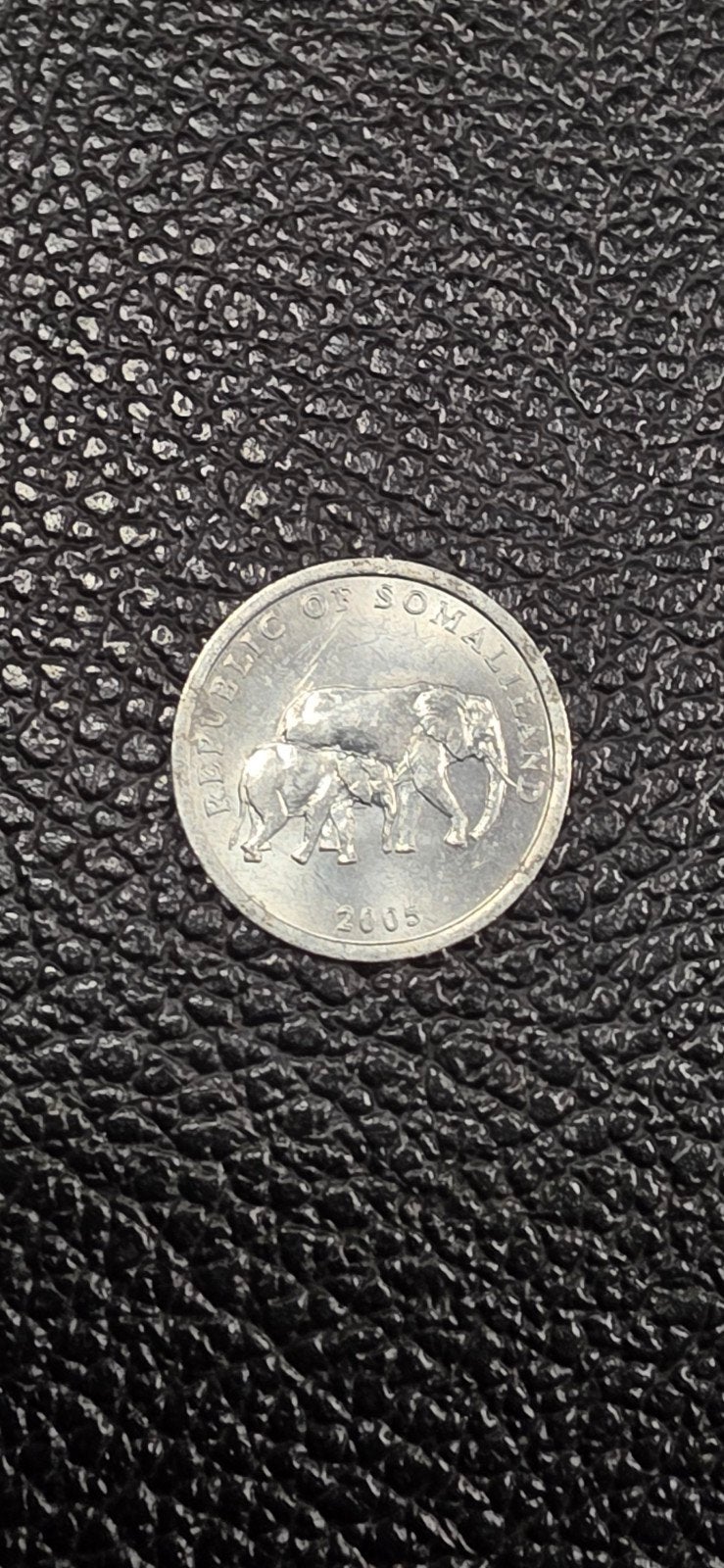 Somaliland 5 shilling 2005, Postzegels en Munten, Munten | Afrika, Ophalen of Verzenden