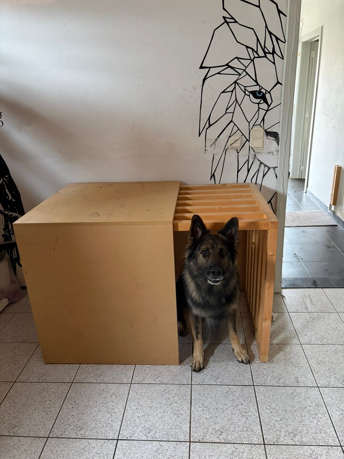 Houten hondenbench voor grote hond, Dieren en Toebehoren, Ophalen, Nieuw