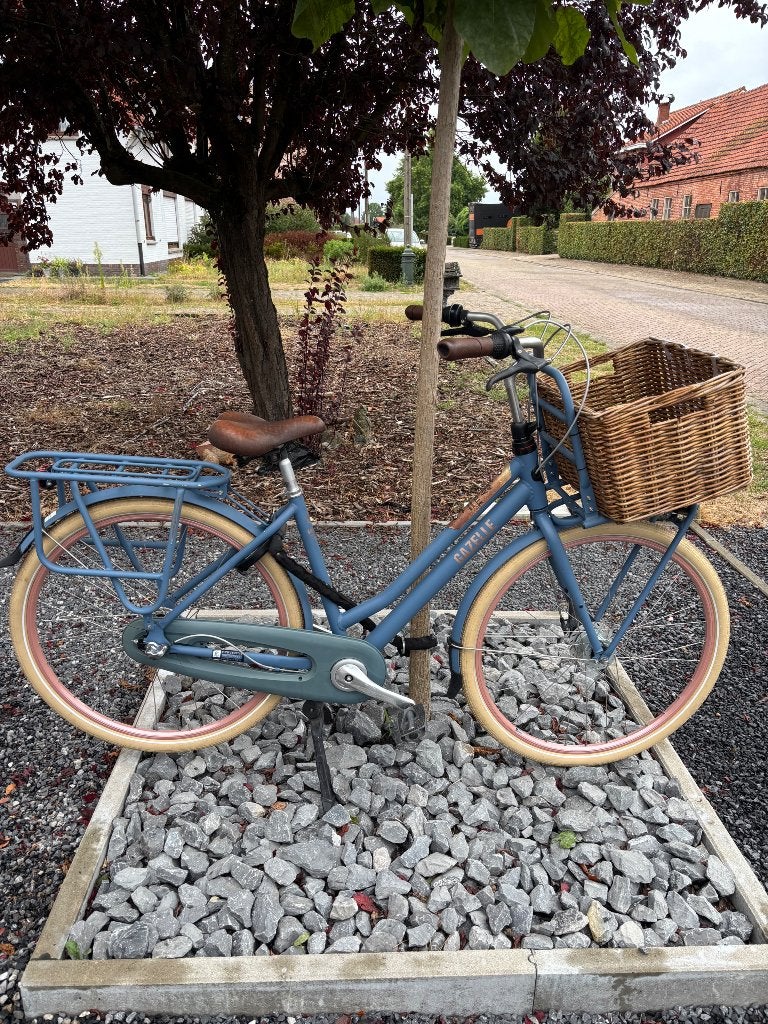 Damesfiets gazelle - maat 49, Fietsen en Brommers, Ophalen, Gebruikt, Gazelle
