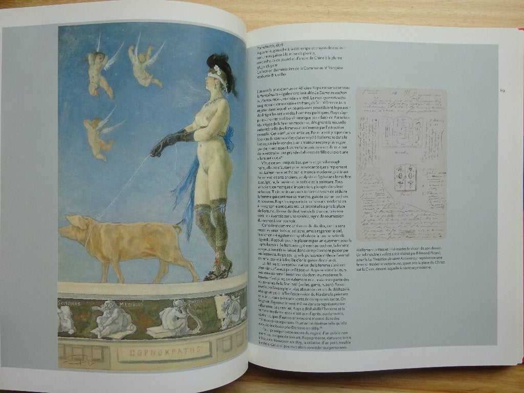 Le musée Félicien Rops à Namur, 2005, Fonds Mercator, Enlèvement ou Envoi, Comme neuf, Peinture et dessin