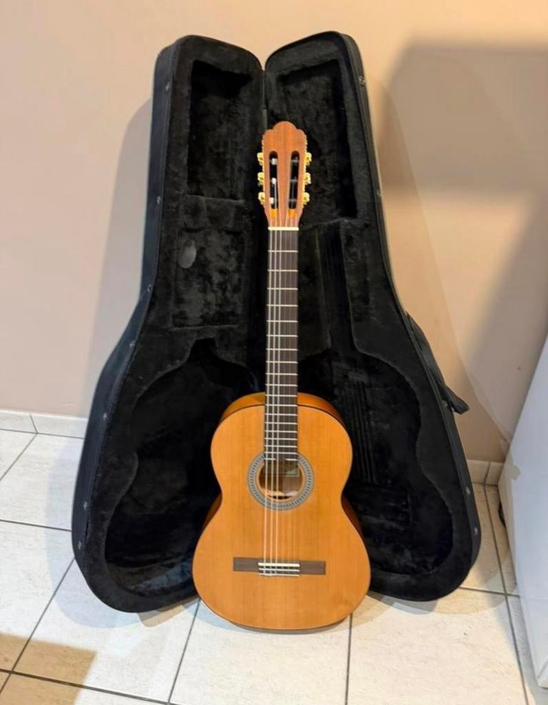 Étui Guitar+ guitar, Enlèvement, Comme neuf, Avec valise