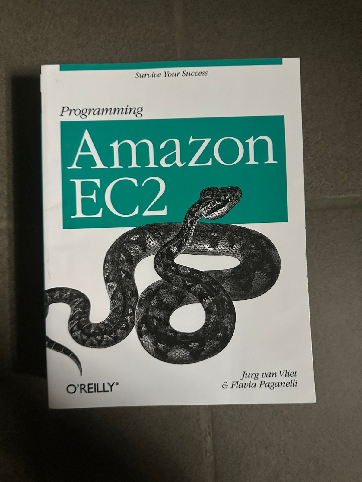 Old O Reilly programmeerbundel, Boeken, Ophalen, Zo goed als nieuw