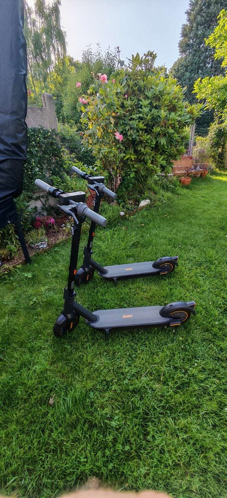 Trottinettes  Segway G30 max, Ophalen
