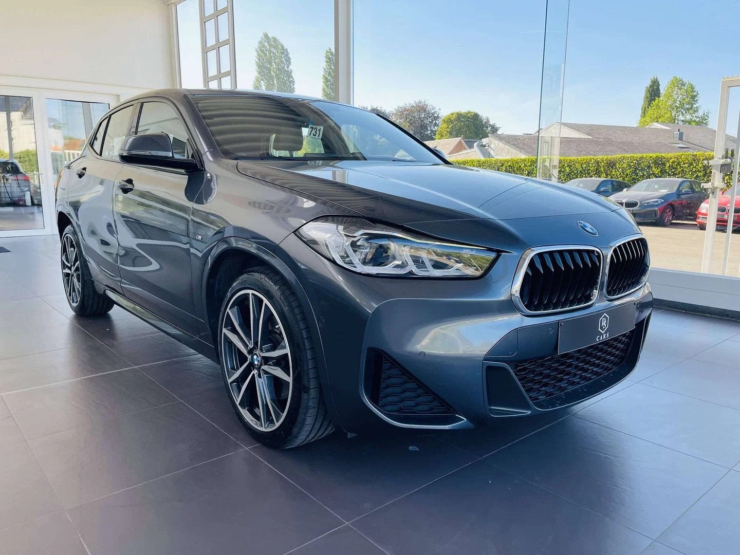 BMW X2 2.0 dA xDrive * GARANTIE + PACK M + LED + CUIR + GPS, Argent ou Gris, Euro 6, Entreprise, 5 portes