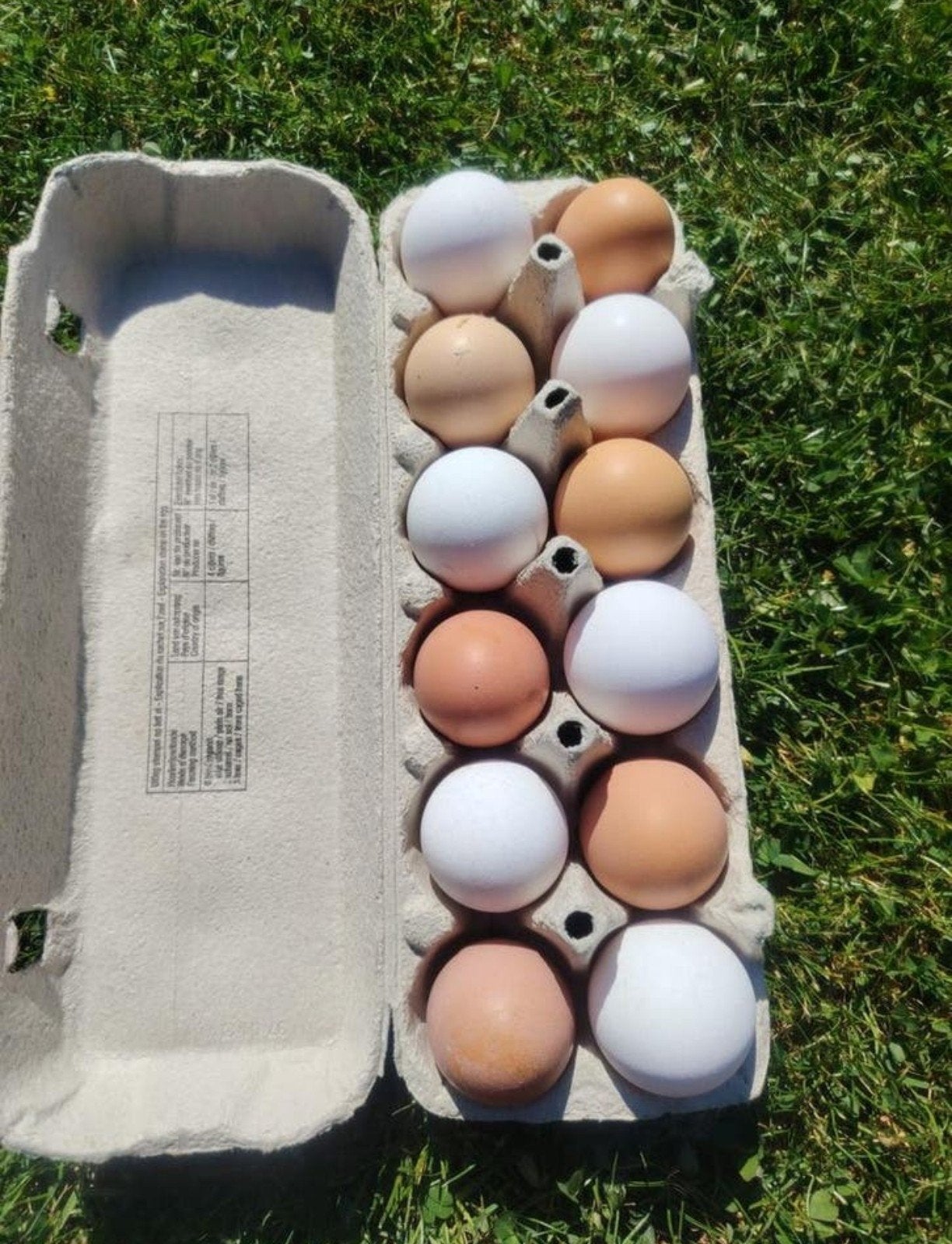 Verse Biologische Eieren, Dieren en Toebehoren, Ophalen
