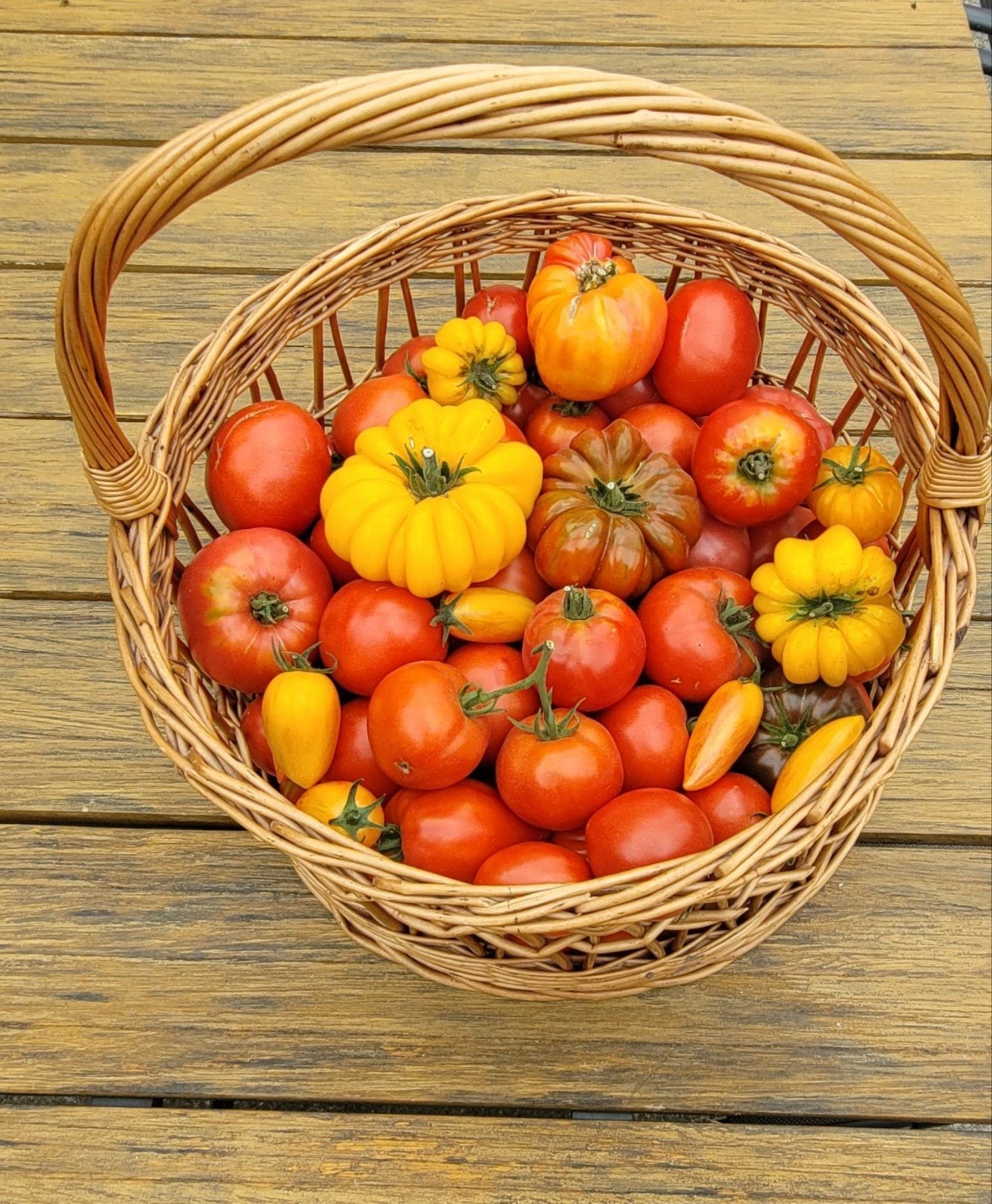 Tomaten, Ophalen