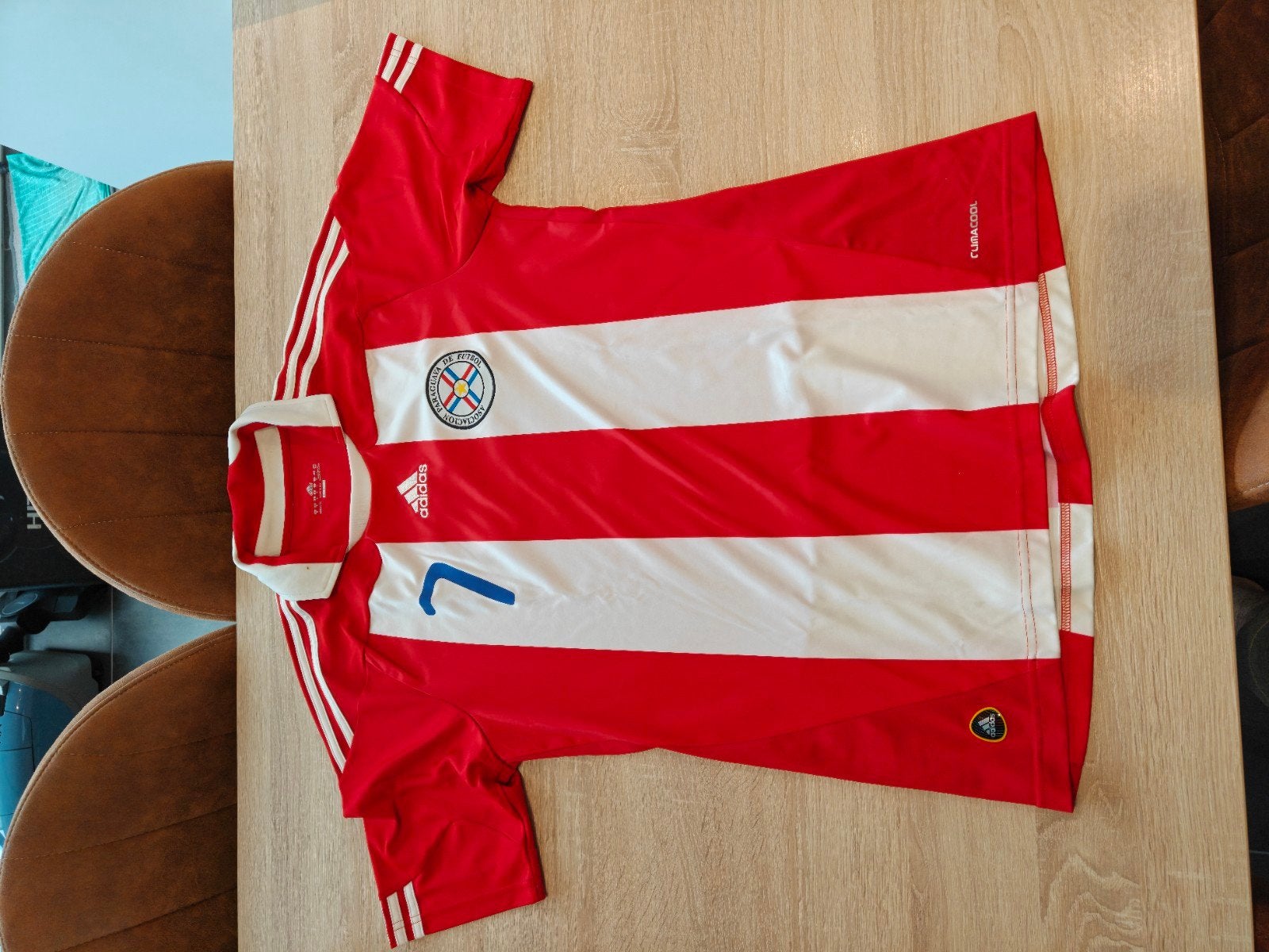Officieel truitje Paraguay Oscar Cardozo WK 2010, Maat M, Ophalen, Zo goed als nieuw, Shirt