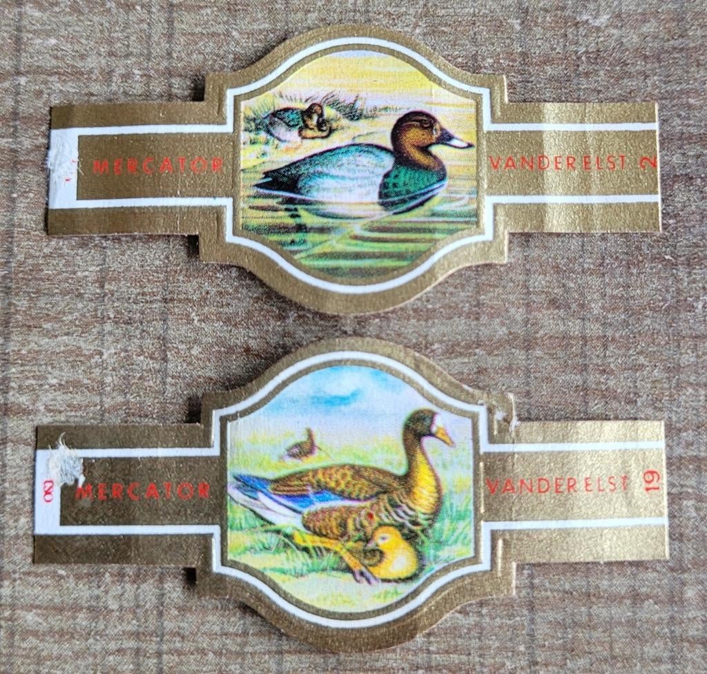 2 oude sigarenbandjes: waterwild, Enlèvement ou Envoi, Utilisé, Bagues de cigare