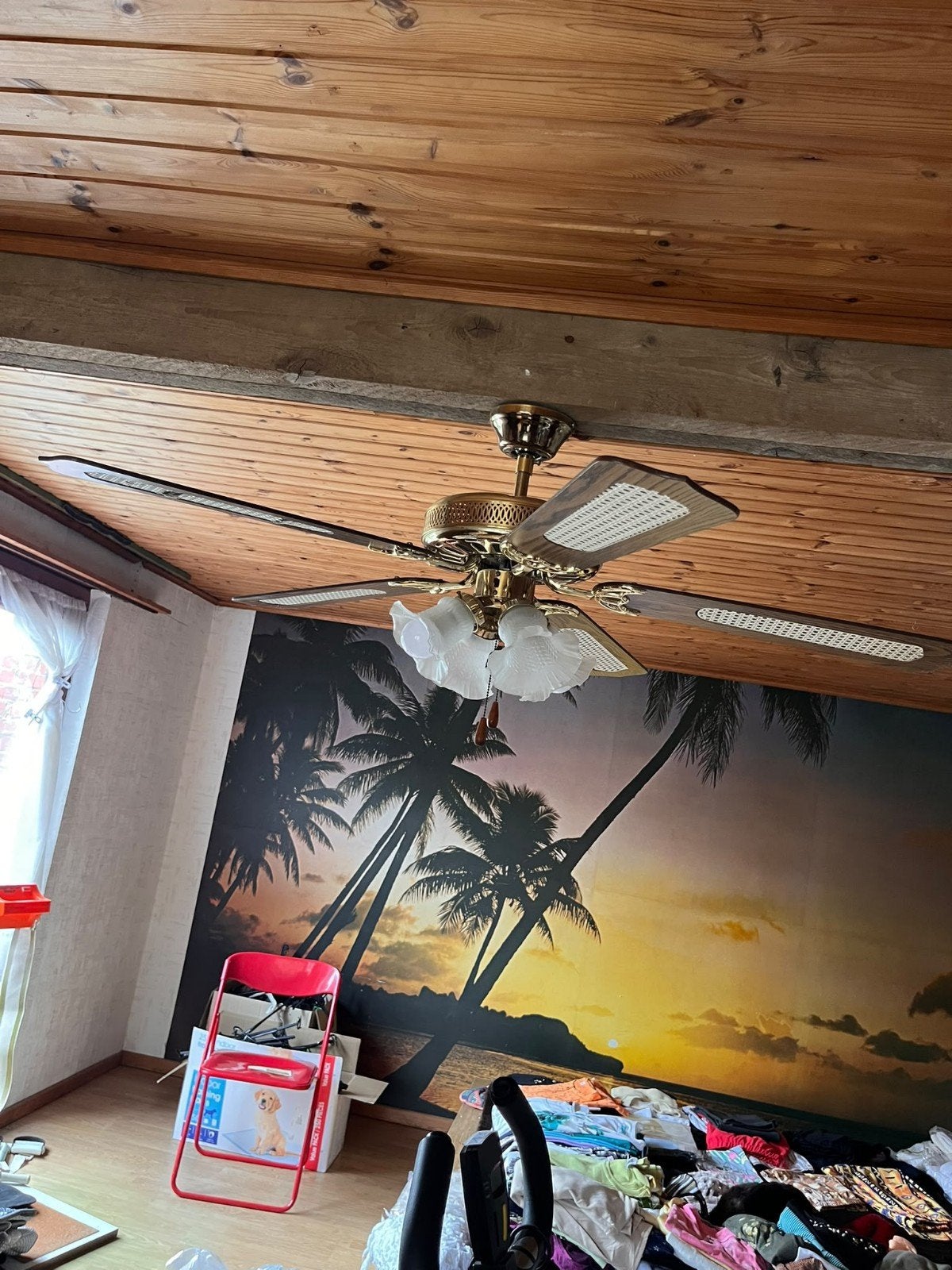 lustre avec ventilateur, Enlèvement