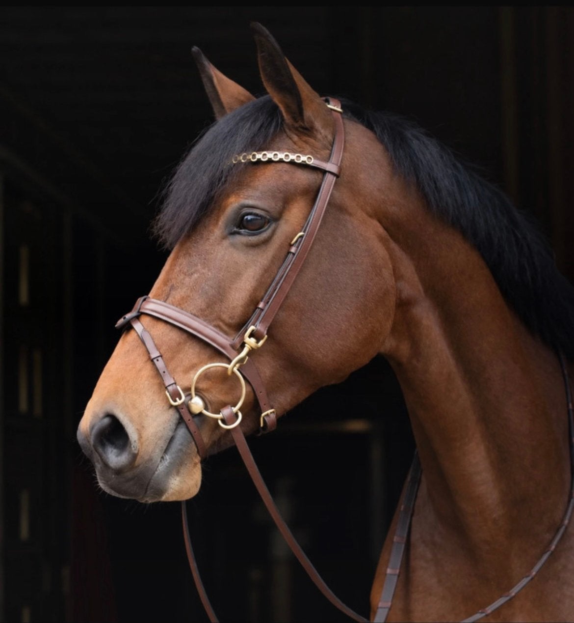Bruin lederen hoofdstel (COB)., Bruin, Recreatie, Ophalen of Verzenden, Zo goed als nieuw