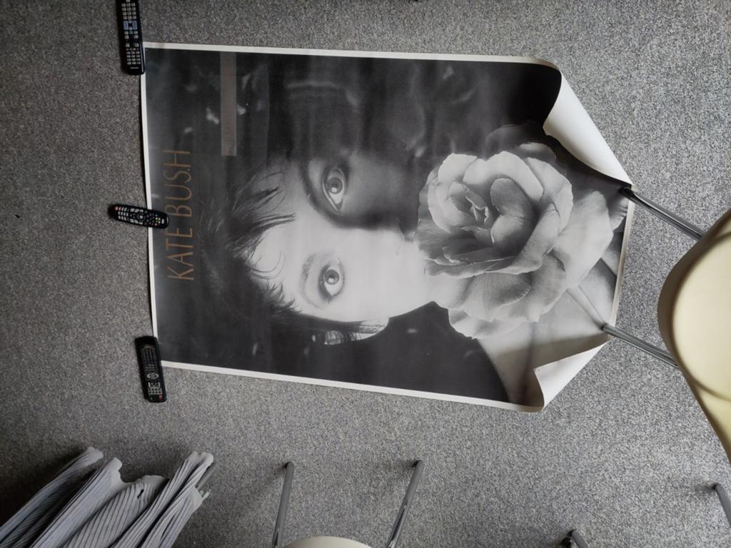 Poster Kate Bush, Enlèvement