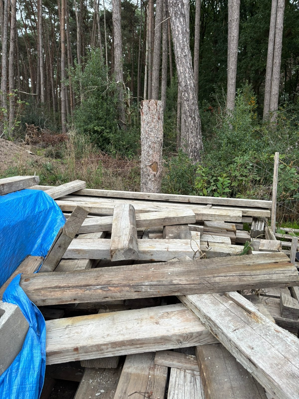 Houten balken, Ophalen, Zo goed als nieuw, Hardhout, 250 cm of meer