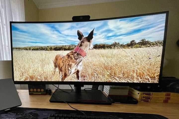 Lenovo ThinkVision P40w-20 40" 5K WUHD, Computers en Software, Monitoren, Gebruikt, 61 t/m 100 Hz, DisplayPort, HDMI, Thunderbolt