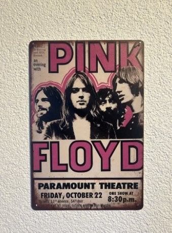 Pink Floyd Metalen Bord - Vintage Look (20x30 cm), Metaal, 30 cm, Verzenden, 20 cm
