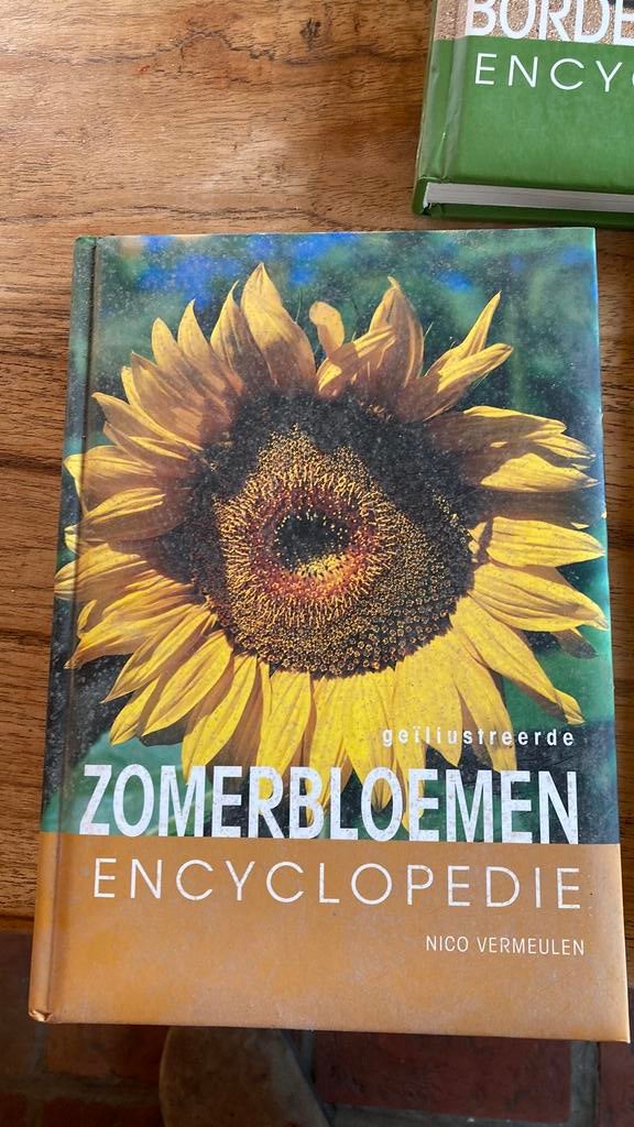 N. Vermeulen - Geillustreerde zomerbloemen encyclopedie, Boeken, Natuur, Ophalen of Verzenden, N. Vermeulen