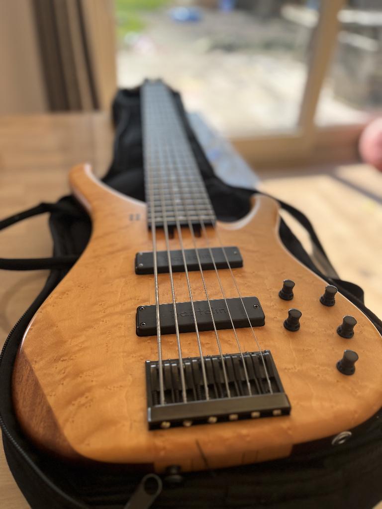 Basse personnalisée Sandberg à 6 cordes — Ken Taylor, Musique & Instruments, Instruments à corde | Guitares | Basses, Comme neuf
