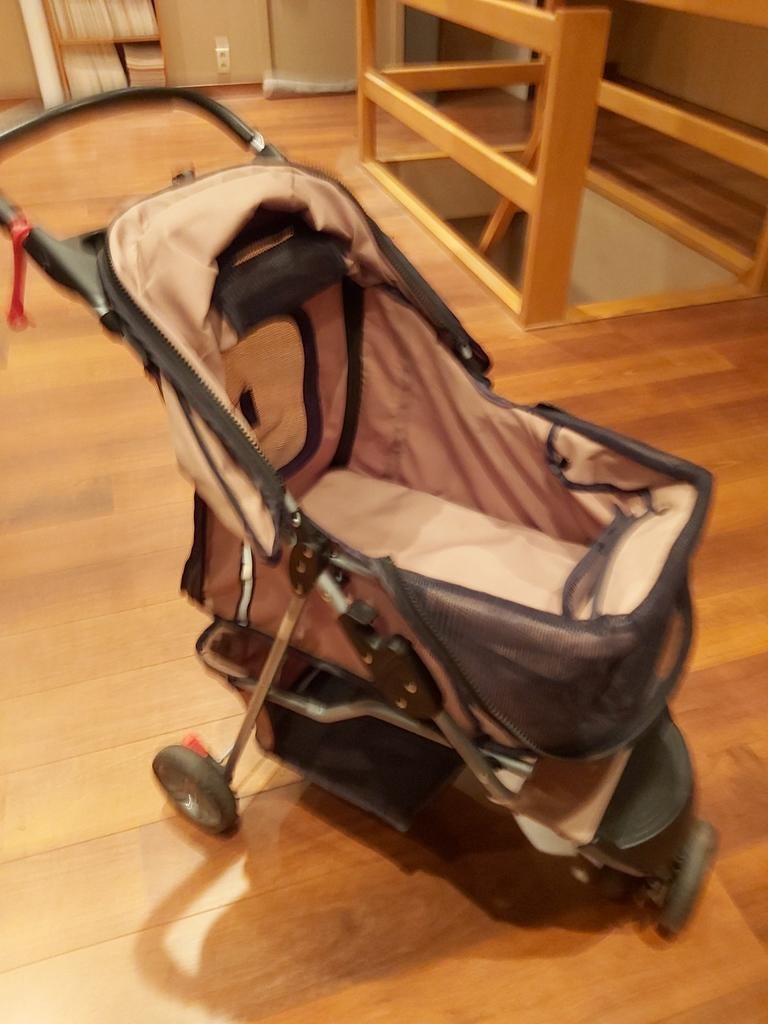 Hondenbuggy, Enlèvement