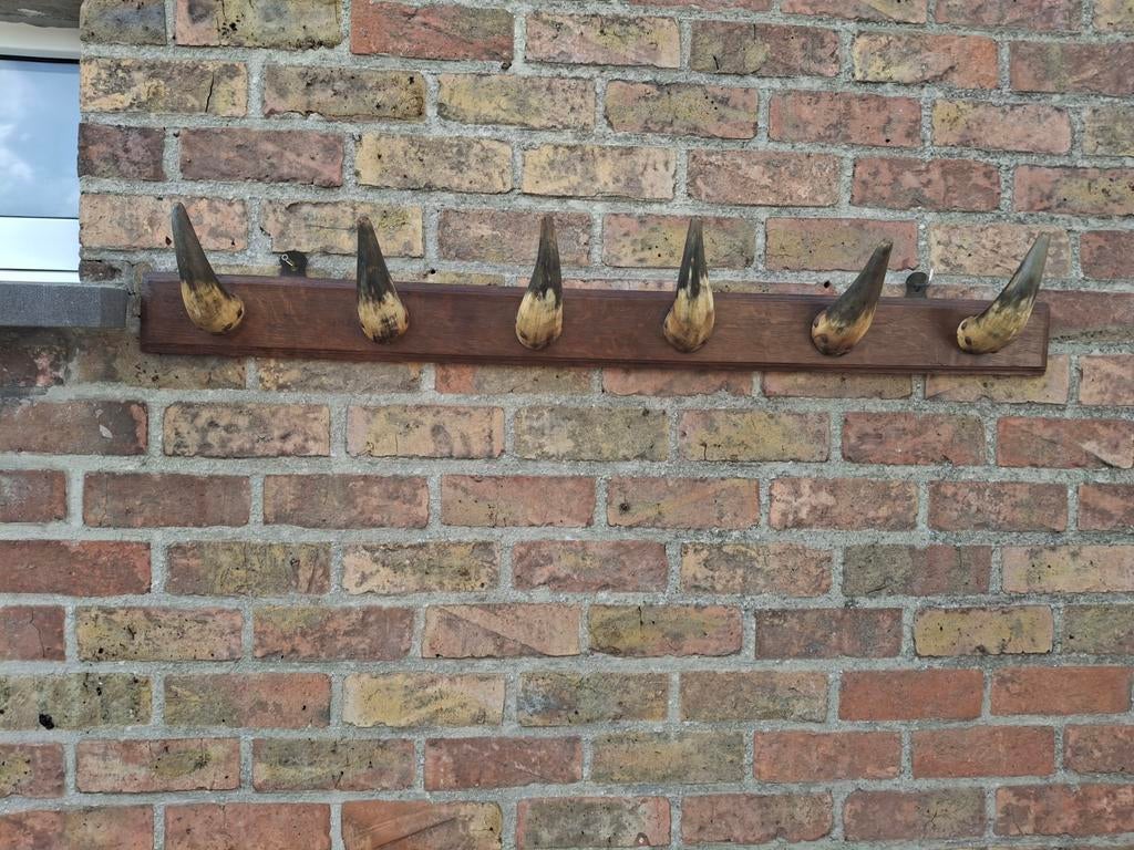 Oude kleerhanger, Kleding | Dames, Kledinghangers, Ophalen