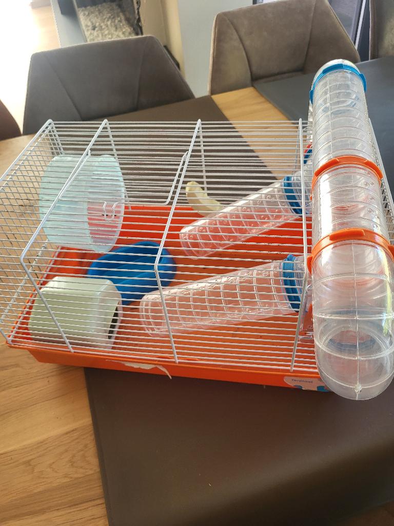 Kooi voor hamster, Dieren en Toebehoren, Ophalen, Zo goed als nieuw, Kooi, Hamster