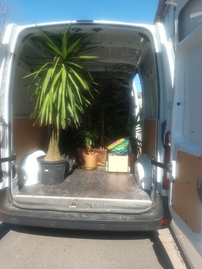 Location Camionnette avec chauffeur, Enlèvement