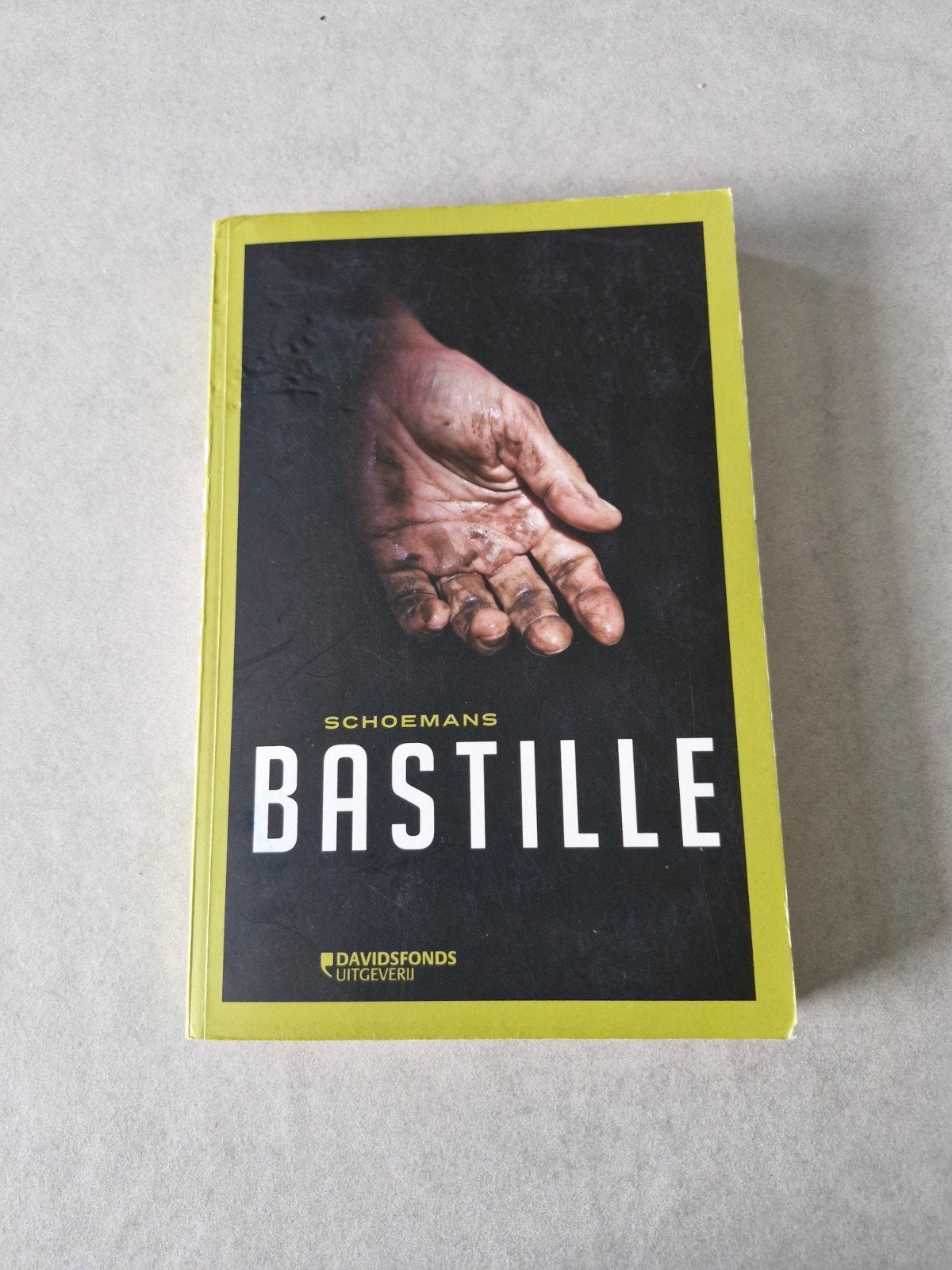 Bastille - Roger H. Schoemans, Boeken, Ophalen of Verzenden, Roger H. Schoemans, België