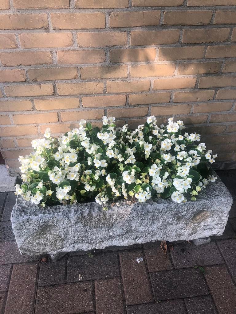 GERESERVEERD Antieken arduinen varkenstrog - 83cm op 43cm, Tuin en Terras, Ophalen, Overige materialen, Gebruikt, 60 tot 100 cm