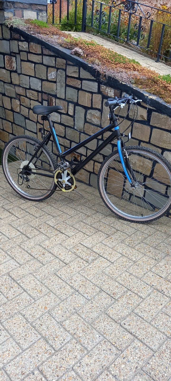 Mechanische Fiets, Ophalen