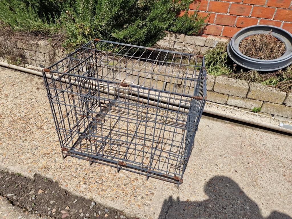 Gratis  honden  bench, Enlèvement