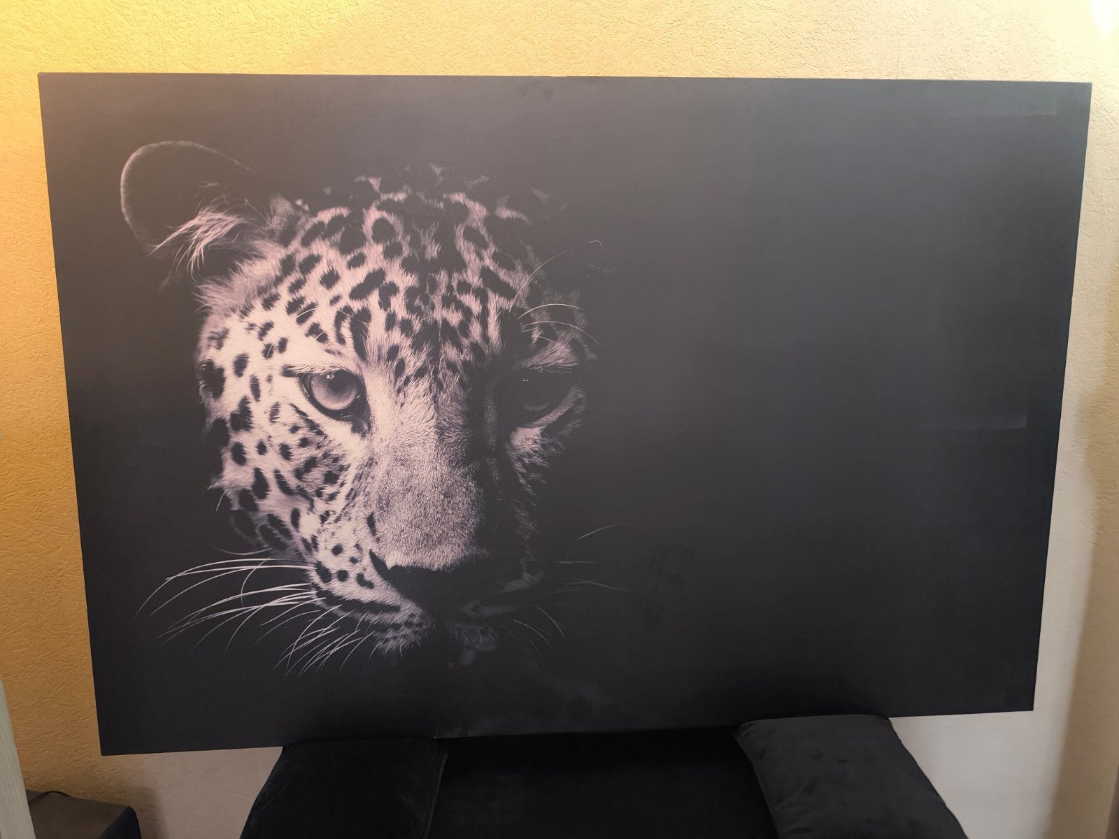 canvas XL luipaard zw/wit & zwarte velvet bank met kussens., Huis en Inrichting, Ophalen, Print