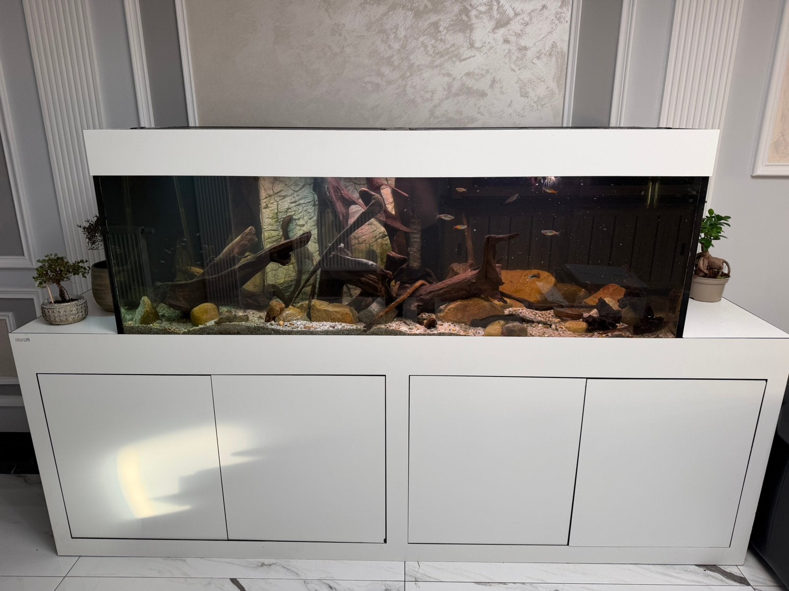Aquarium vissen, Ophalen, Zo goed als nieuw, Eheim