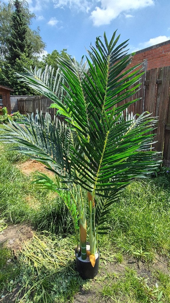 Grote Kunstpalm 170cm (Artificiële), Ophalen, Kunstplant