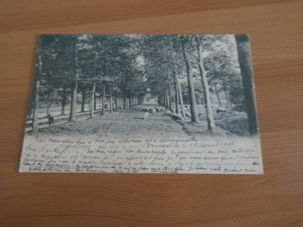 bruxelles koekelberg une allée du parc, Verzenden, Gelopen, Brussel (Gewest)