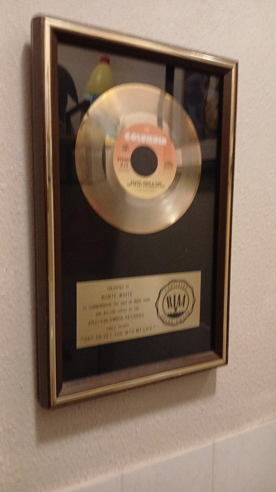 Gouden Platina Platen koop/ruilen van Hazes tot Rock gezocht, Ophalen