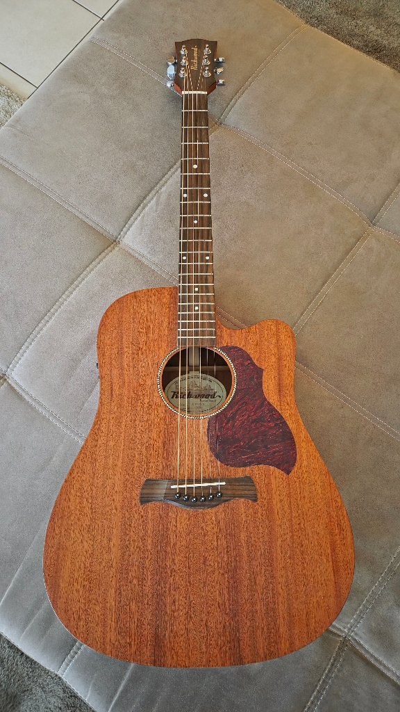 Akoestische gitaar: Richwood Master Series D 50 CE, Muziek en Instrumenten, Ophalen, Zo goed als nieuw, Western- of Steelstringgitaar