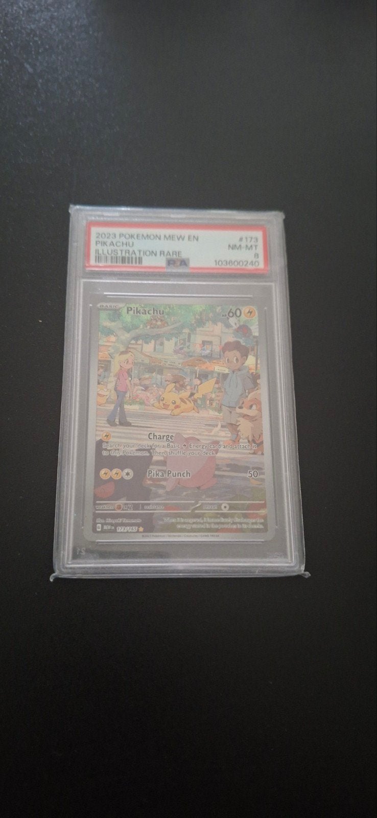 Pikachu 173 pass 8, Enlèvement ou Envoi