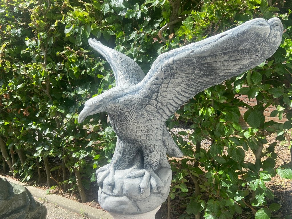 Aigle, 70 x 90 cm, Enlèvement, Neuf, Béton, Animal