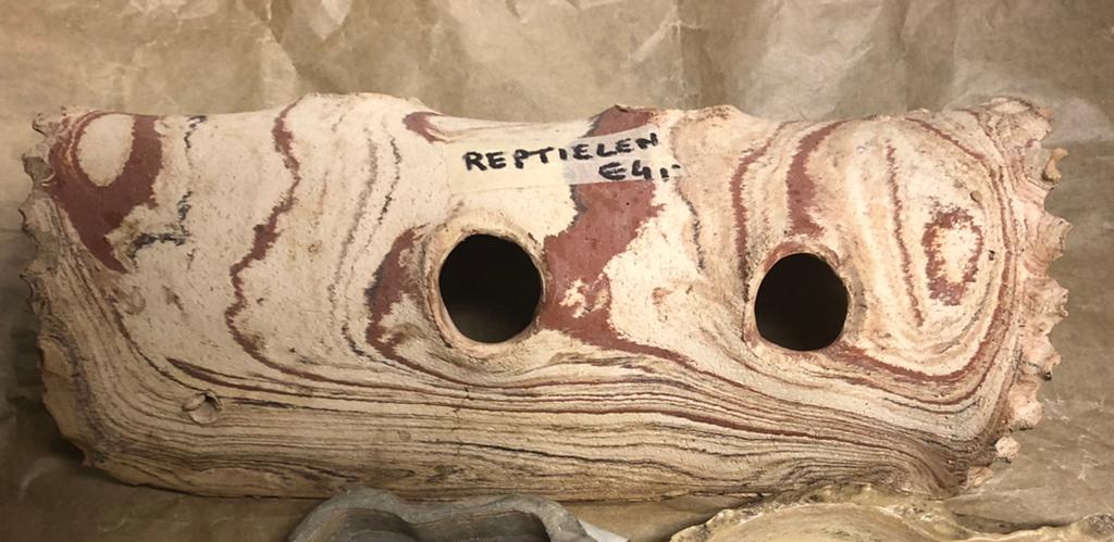 Reptielen, vogels en ander toebehoren, Enlèvement ou Envoi, Comme neuf