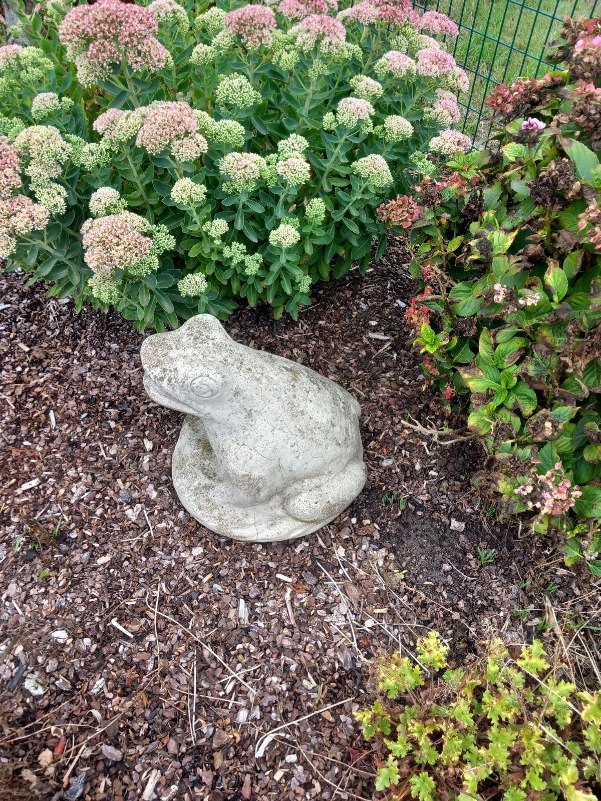 stenen kikker, Tuin en Terras, Tuinbeelden, Ophalen