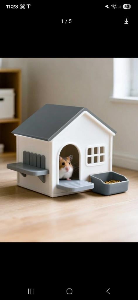 Tout pour les hamsters, les maisons, les jouets, les échelle, Animaux & Accessoires, Enlèvement, Hamster