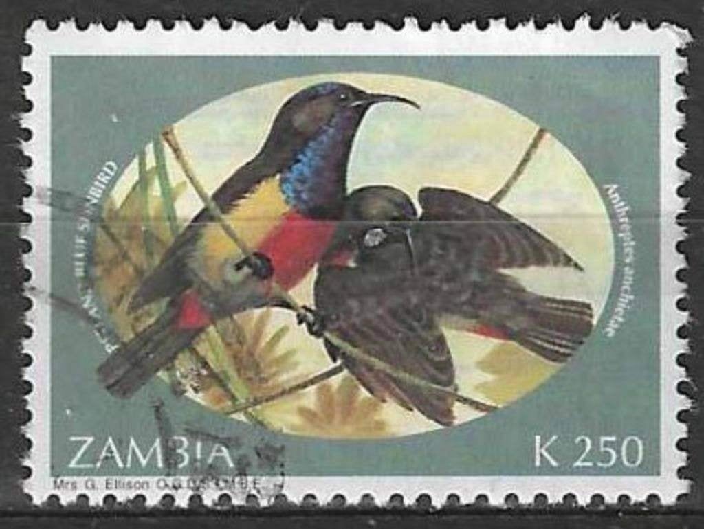 Zambie 1994 - Yvert 587 - Suceur à miel d'Anchieta (ST), Envoi, Zambie, Affranchi