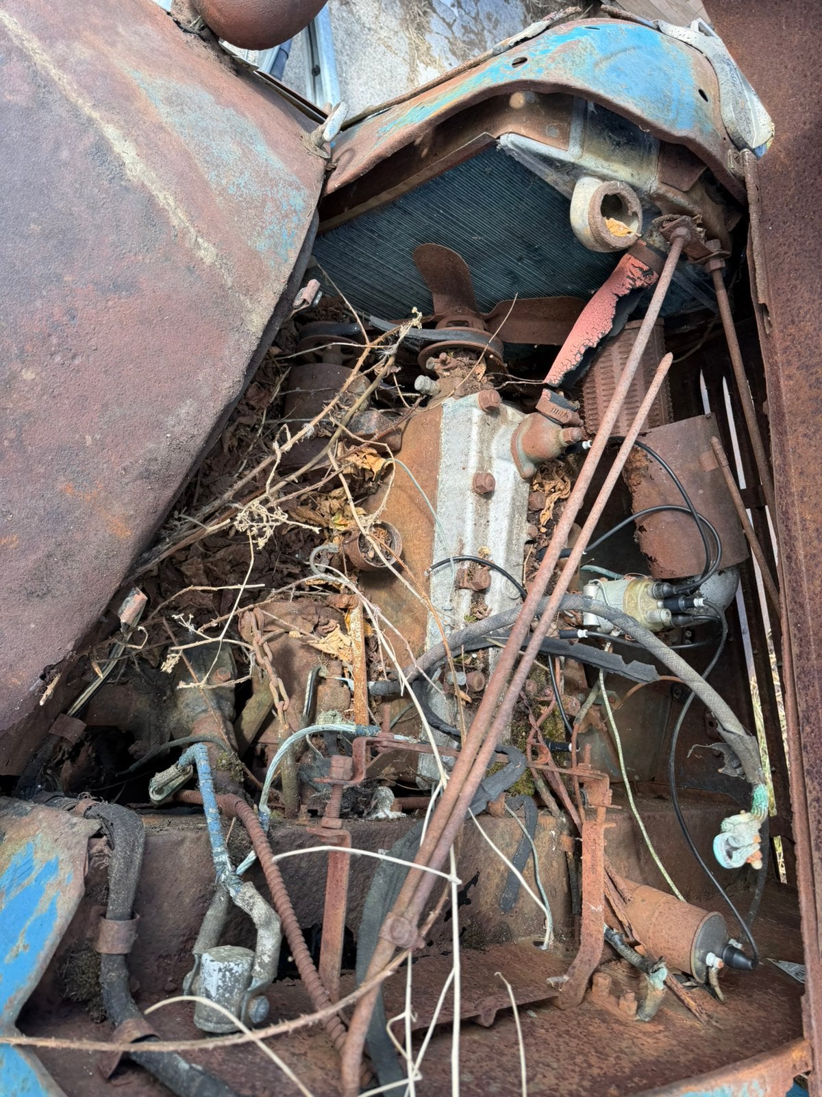 Wrak van de Renault NovaQuatre uit 1938, foto 5