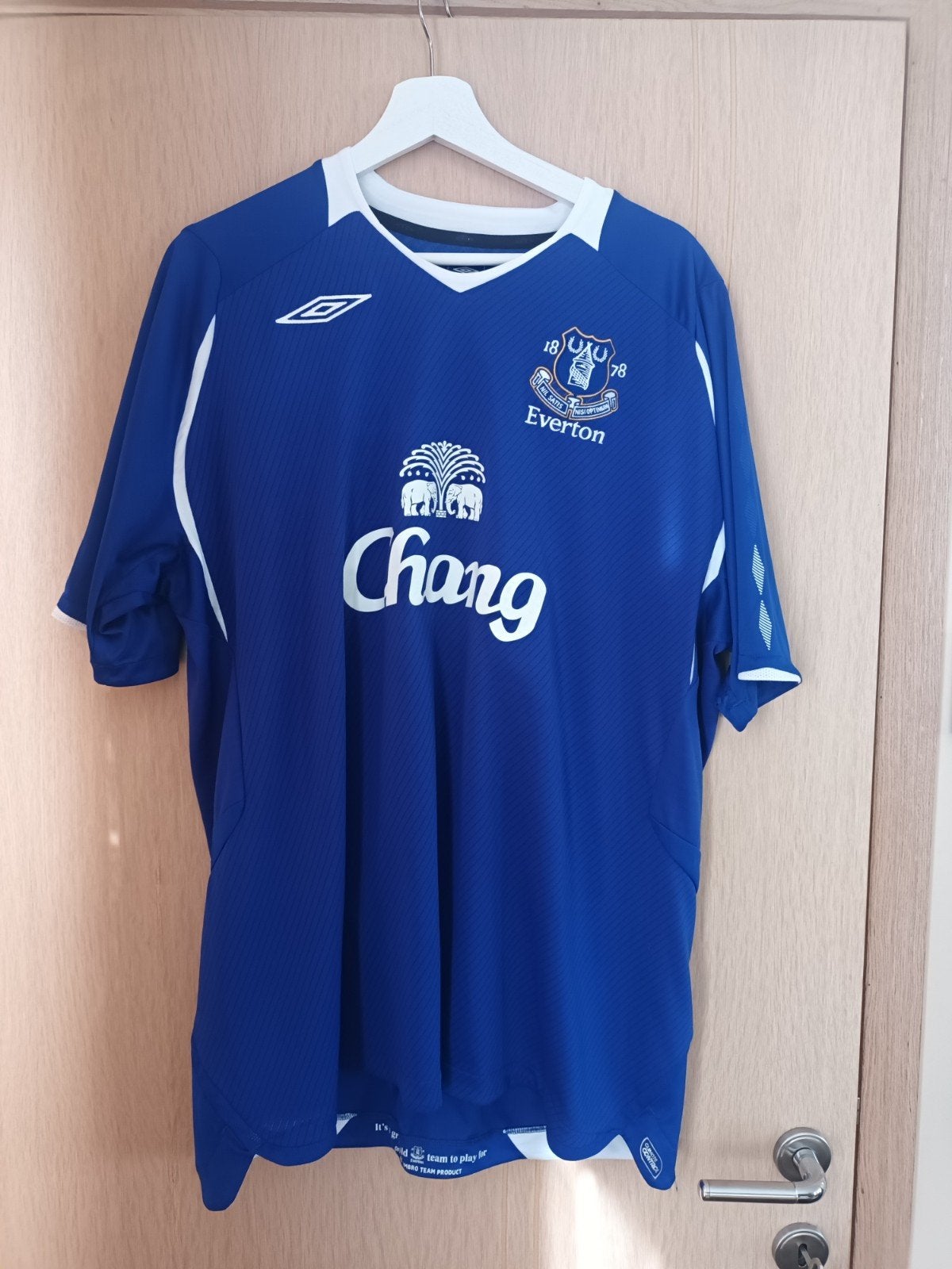 Everton Marouane Fellaini shirt, Verzamelen, Ophalen of Verzenden, Shirt