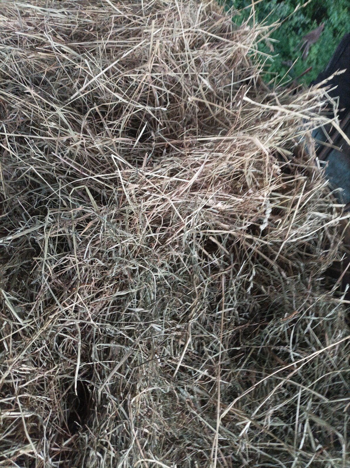 Hooi midi balen, Dieren en Toebehoren, Ophalen