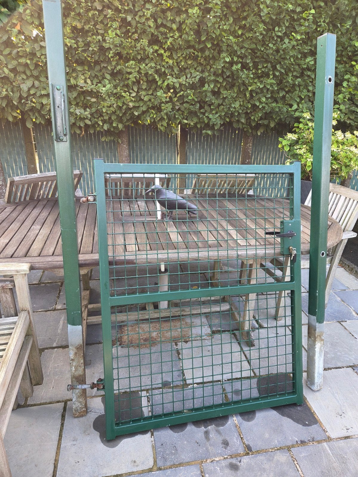 tuinhekje groen, Tuin en Terras, Ophalen