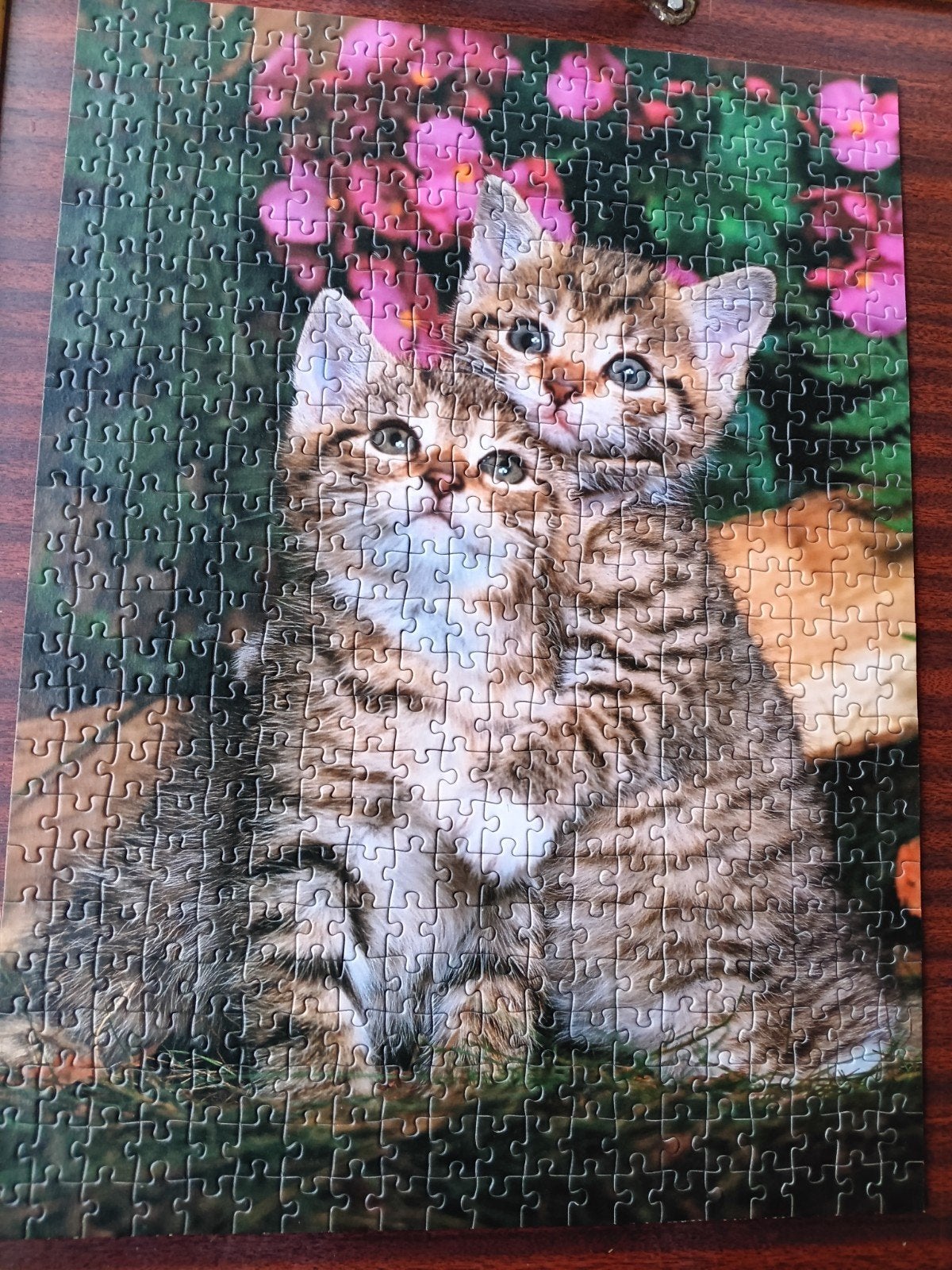2 mooie puzzels 5 euro per stuk te itegem, Collections, Cartes postales | Animaux, Enlèvement