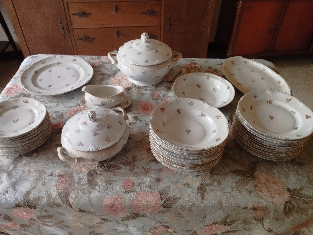 Onbeschadigd 42-delig eetservies Rieber, Antiek en Kunst, Antiek | Servies compleet, Ophalen