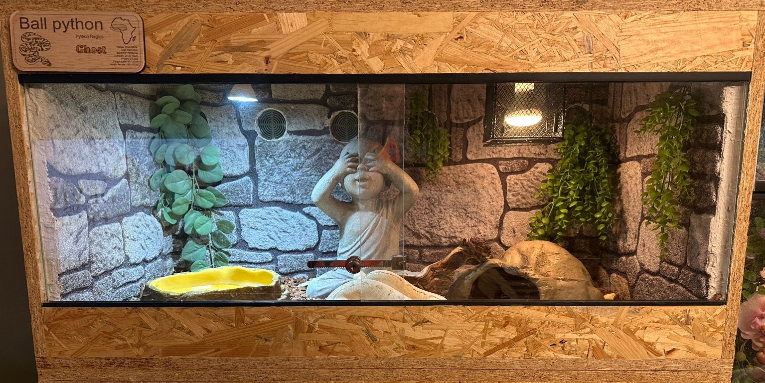 Mooi osb Terrarium 100x50x50, Dieren en Toebehoren, Ophalen, Zo goed als nieuw