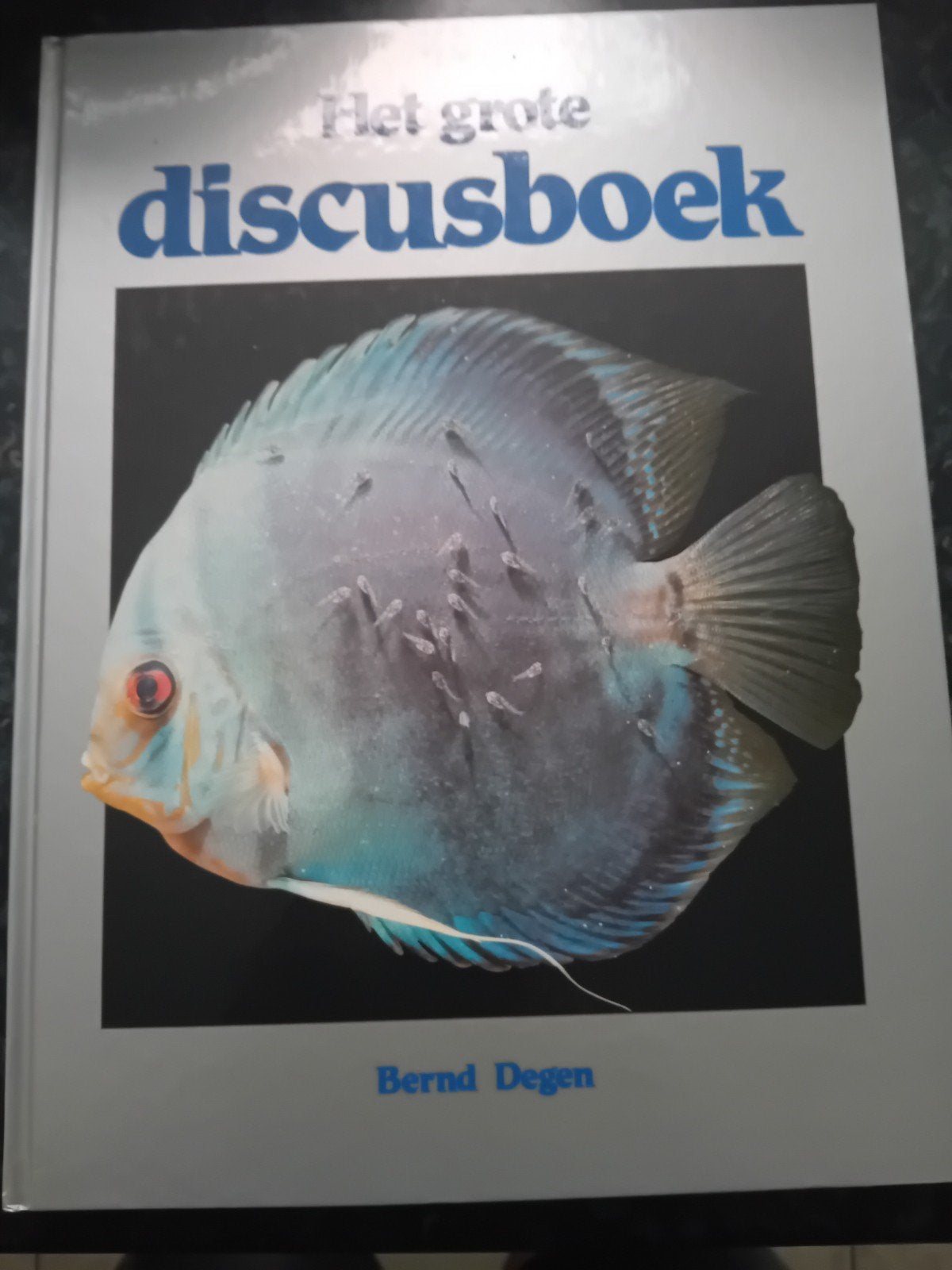 Degen discus, Ophalen of Verzenden
