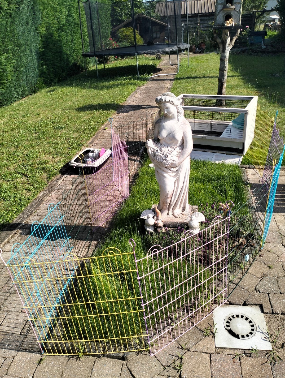 Konijnen hok, Dieren en Toebehoren, Ophalen